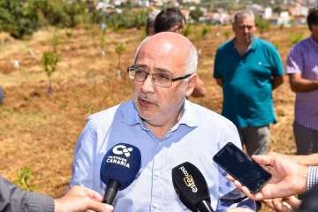 Plantación de 4.400 almendreros, nogales, higueras y olivos en Valsequillo (Foto TA)